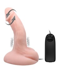 BAILE - FONCTION DE VIBRATION ET DE ROTATION DU GODE ARBITRAIRE