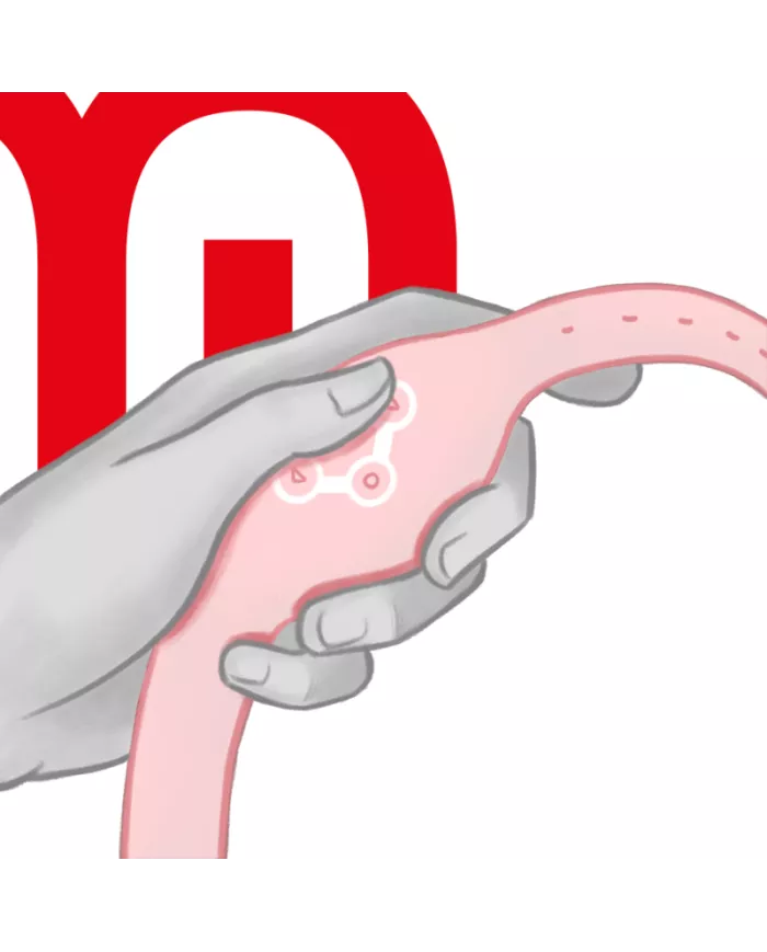 WATCHME - MONTRE À TECHNOLOGIE SANS FIL ROSE TENDRE WATCHME - MONTRE À TECHNOLOGIE SANS FIL ROSE TENDRE