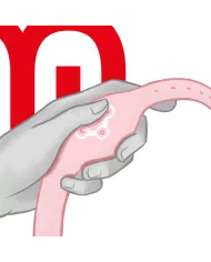 WATCHME - MONTRE À TECHNOLOGIE SANS FIL ROSE TENDRE WATCHME - MONTRE À TECHNOLOGIE SANS FIL ROSE TENDRE