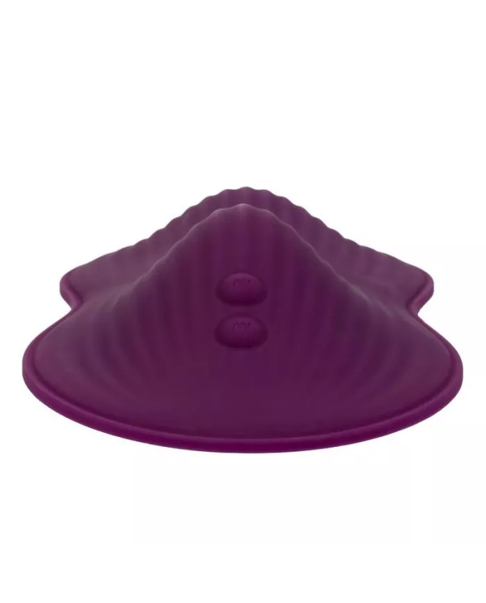 CALEXOTICS - TÉLÉCOMMANDE DUAL RIDER