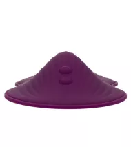 CALEXOTICS - TÉLÉCOMMANDE DUAL RIDER