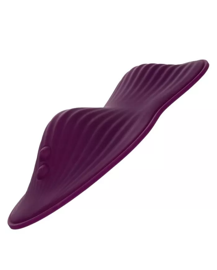 CALEXOTICS - TÉLÉCOMMANDE DUAL RIDER