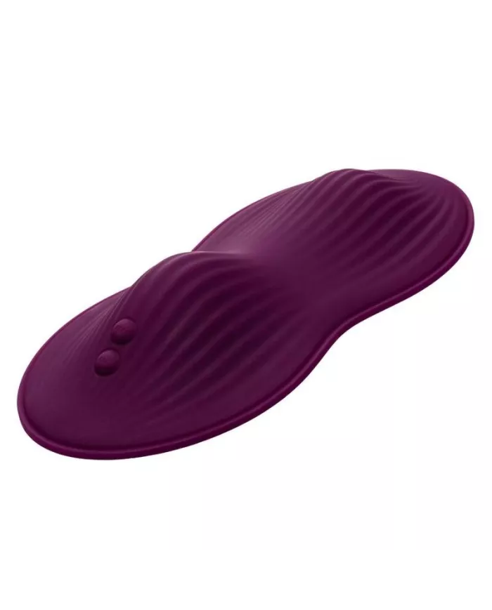 CALEXOTICS - TÉLÉCOMMANDE DUAL RIDER