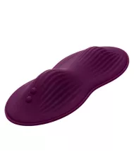 CALEXOTICS - TÉLÉCOMMANDE DUAL RIDER