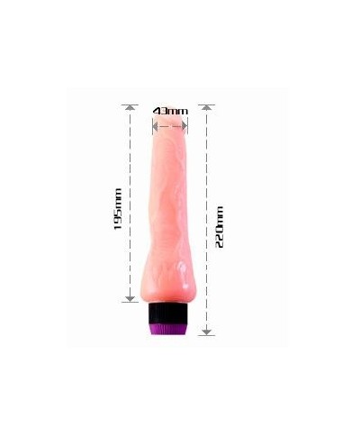 BAILE - VIBRATEUR RÉALISTE 19.5 CM