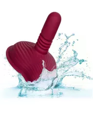 CALEXOTICS - RIDER MASSAGER DOUBLE MOTEUR TÉLÉCOMMANDE ROUGE CALEXOTICS - RIDER MASSAGER DOUBLE MOTEUR TÉLÉCOMMANDE ROUGE