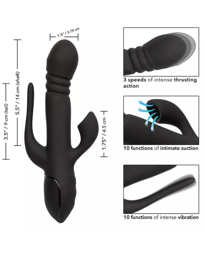 CALEXOTICS - VIBRATEUR TRIPLE EUPHORIA NOIR