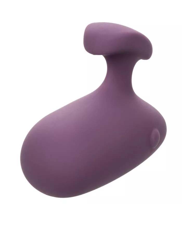CALEXOTICS - STIMULATEUR MOD TOUCH VIOLET