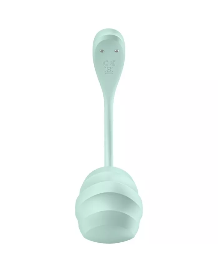 SATISFYER - APPLICATION GRATUITE STIMULATEUR DE POINT G PÉTALE LISSE VERT D'EAU SATISFYER - APPLICATION GRATUITE STIMULATEUR DE POINT G PÉTALE LISSE VERT D'EAU