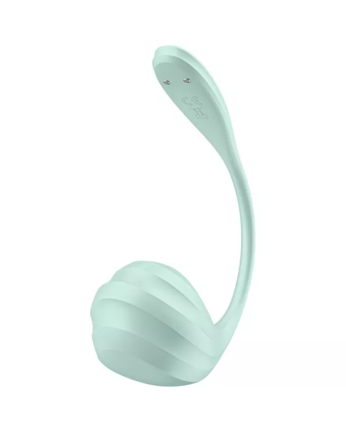 SATISFYER - APPLICATION GRATUITE STIMULATEUR DE POINT G PÉTALE LISSE VERT D'EAU SATISFYER - APPLICATION GRATUITE STIMULATEUR DE POINT G PÉTALE LISSE VERT D'EAU