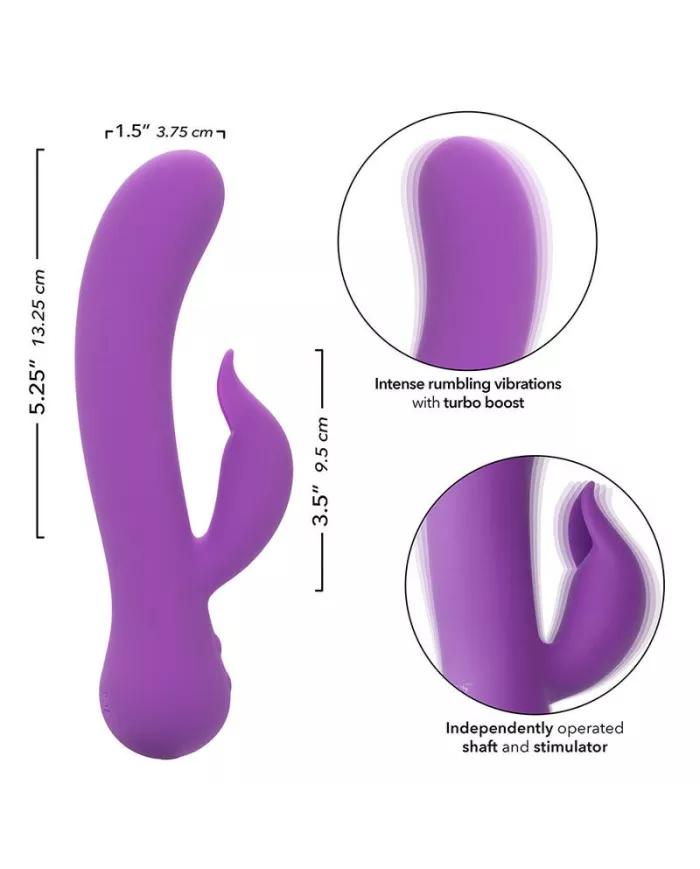 CALEXOTICS - FIRST TIME VIBRATEUR PLEASER RECHARGEABLE VIOLET CALEXOTICS - FIRST TIME VIBRATEUR PLEASER RECHARGEABLE VIOLET