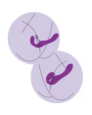 XOCOON - VIBRATEUR SANS STRAPLESS 2 EN 1 AVEC TÉLÉCOMMANDE VIOLET XOCOON - VIBRATEUR SANS STRAPLESS 2 EN 1 AVEC TÉLÉCOMMANDE VIOLET