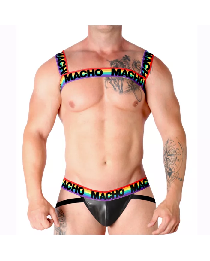 MACHO - HARNAIS DOUBLE PRIDE LIMITED MACHO - HARNAIS DOUBLE PRIDE LIMITED