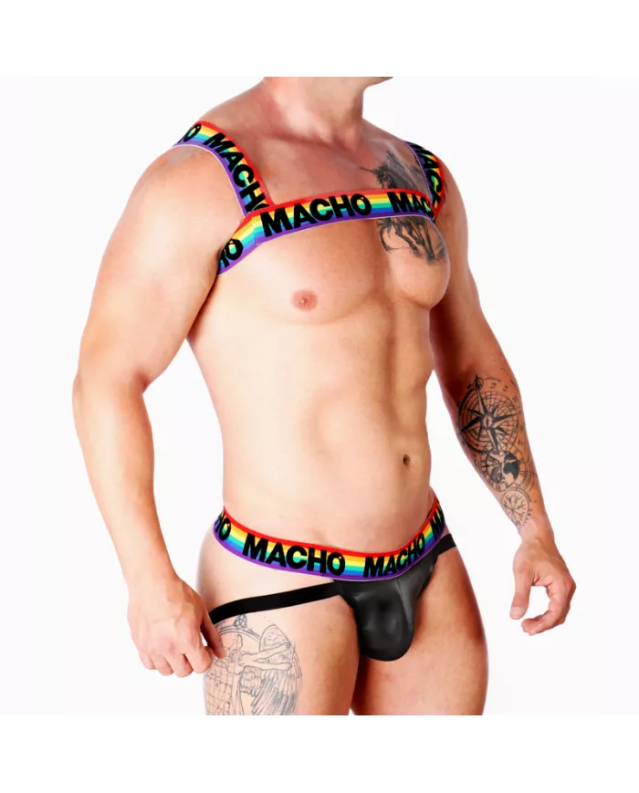 MACHO - HARNAIS DOUBLE PRIDE LIMITED MACHO - HARNAIS DOUBLE PRIDE LIMITED