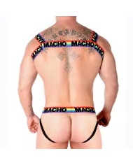 MACHO - HARNAIS DOUBLE PRIDE LIMITED MACHO - HARNAIS DOUBLE PRIDE LIMITED