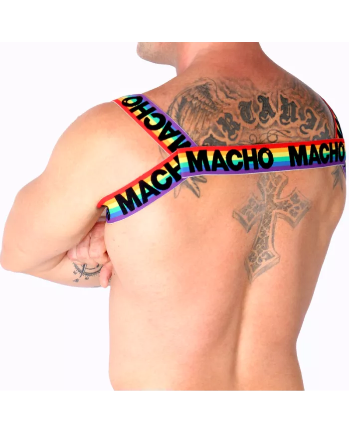 MACHO - HARNAIS DOUBLE PRIDE LIMITED MACHO - HARNAIS DOUBLE PRIDE LIMITED