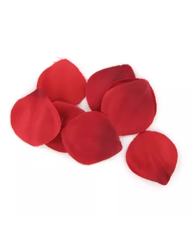 EXTASE SENSUAL - COFFRE TENTATION ROUGE