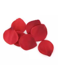 EXTASE SENSUAL - COFFRE TENTATION ROUGE