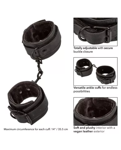 CALEXOTICS - CHEVILLES SANS LIMITES