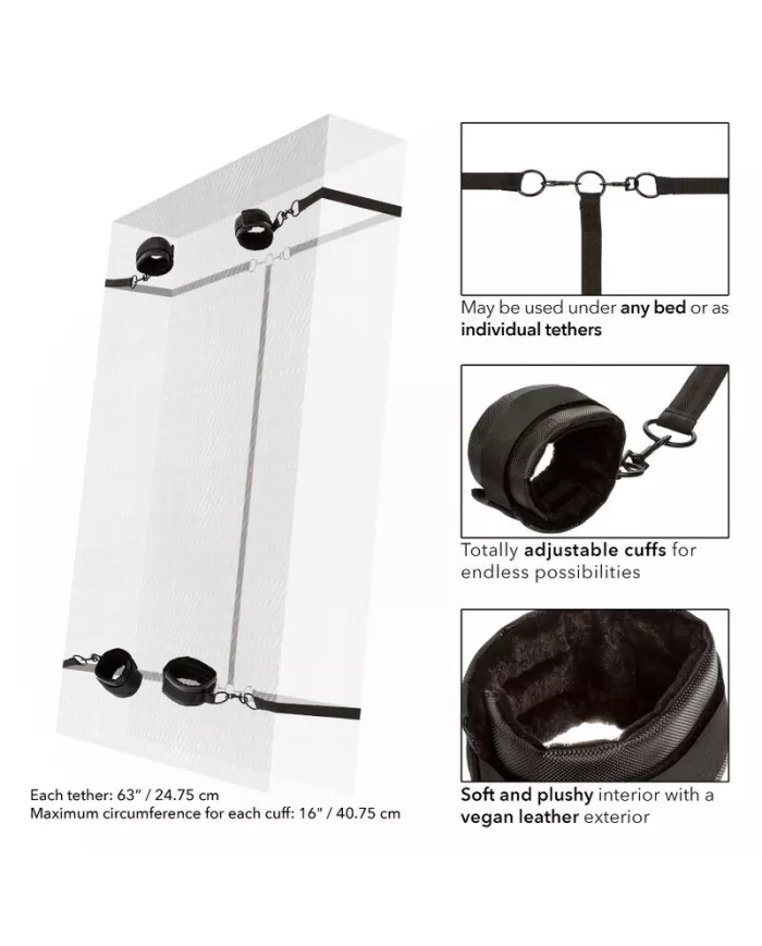 CALEXOTICS - RETENUE ROUGE SANS LIMITES CALEXOTICS - RETENUE ROUGE SANS LIMITES