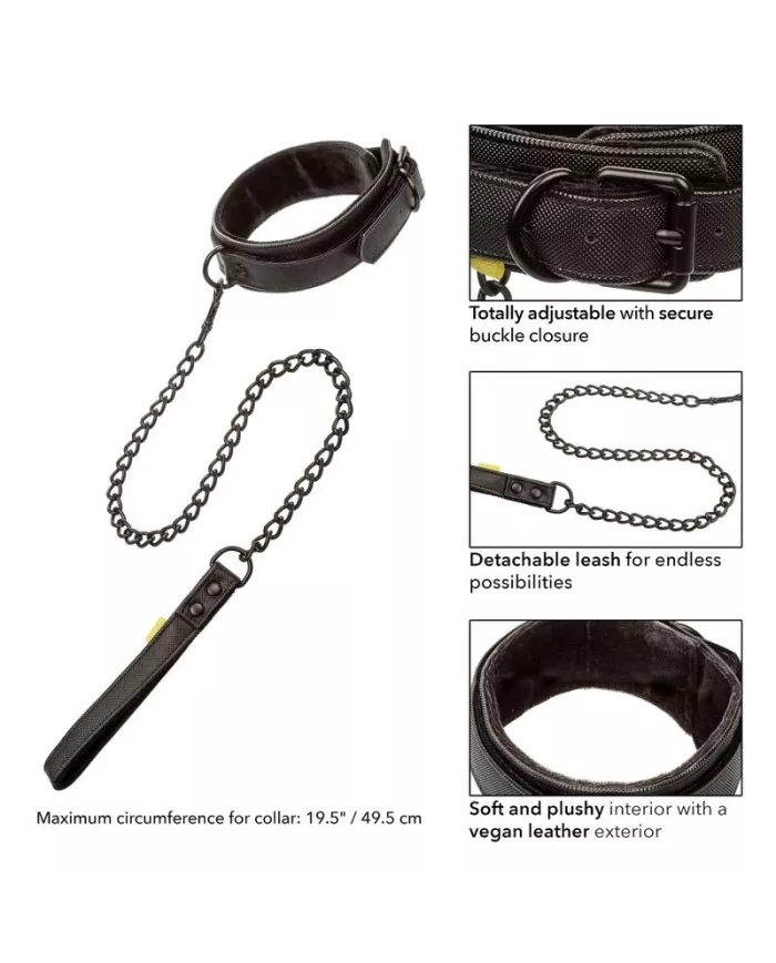 CALEXOTICS - COLLIER ET LAISSE SANS LIMITES CALEXOTICS - COLLIER ET LAISSE SANS LIMITES