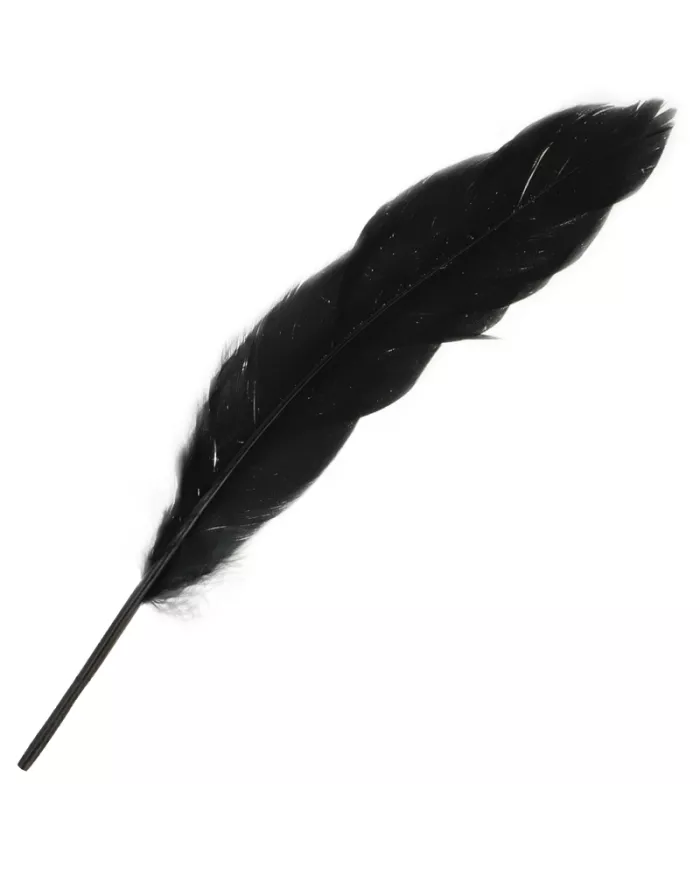 OHMAMA - COUPLES ENSEMBLE NUMÉRO 3 OHMAMA - COUPLES ENSEMBLE NUMÉRO 3