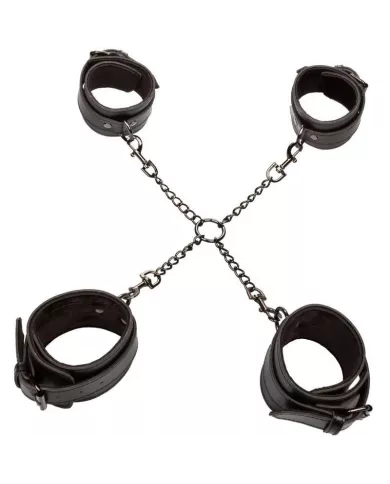 CALEXOTICS - EUPHORIA CRAVATE DE PORC