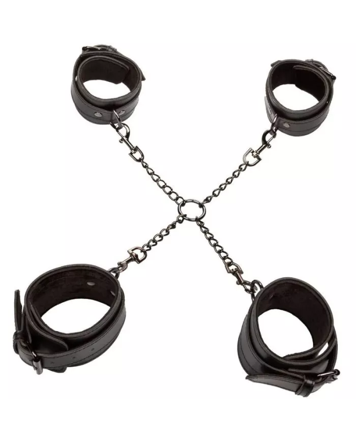 CALEXOTICS - EUPHORIA CRAVATE DE PORC CALEXOTICS - EUPHORIA CRAVATE DE PORC