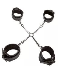 CALEXOTICS - EUPHORIA CRAVATE DE PORC CALEXOTICS - EUPHORIA CRAVATE DE PORC