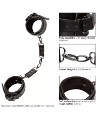 CALEXOTICS - EUPHORIA MANCHETTES DE CHEVILLE