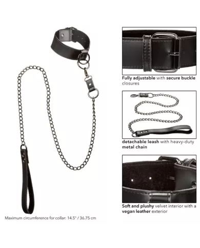 CALEXOTICS - EUPHORIA COLLIER AVEC LAISSE CHAÎNE