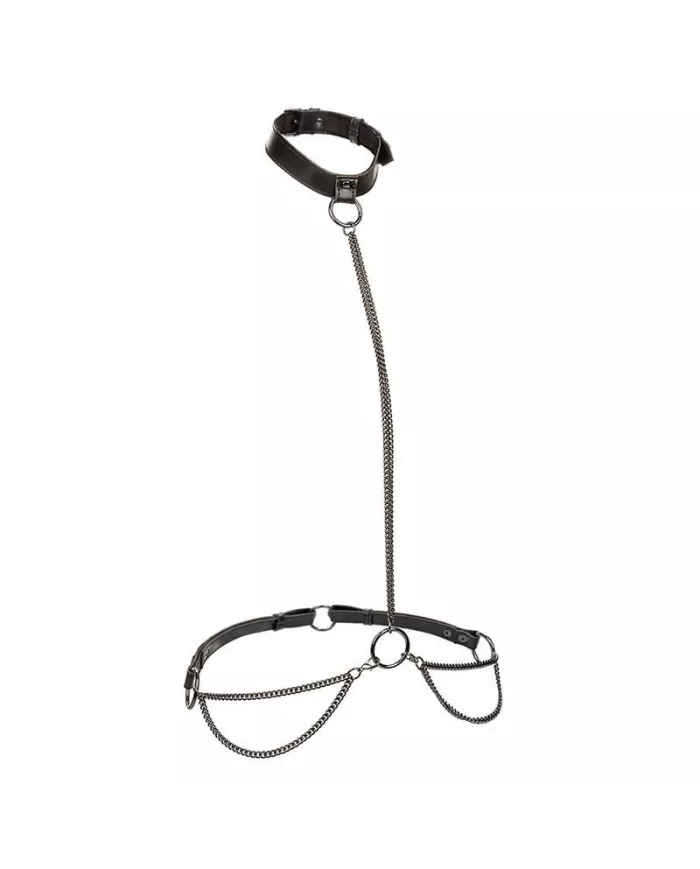 CALEXOTICS - EUPHORIA COLLIER ET LAISSE CHAINE