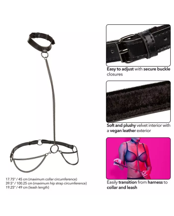 CALEXOTICS - EUPHORIA COLLIER ET LAISSE CHAINE