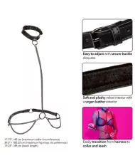 CALEXOTICS - EUPHORIA COLLIER ET LAISSE CHAINE