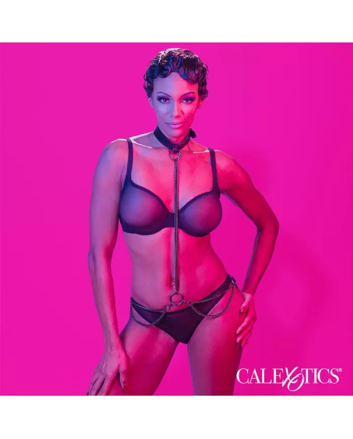 CALEXOTICS - EUPHORIA COLLIER ET LAISSE CHAINE