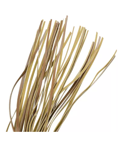 FETISH SUBMISSIVE ORIGIN - FOUET EN CUIR VEGAN FETISH SUBMISSIVE ORIGIN - FOUET EN CUIR VEGAN