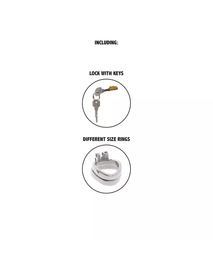 HIDDEN DESIRE - EXTREME CAGE DE CHASTETÉ EN MÉTAL