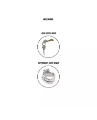 HIDDEN DESIRE - EXTREME CAGE DE CHASTETÉ EN MÉTAL