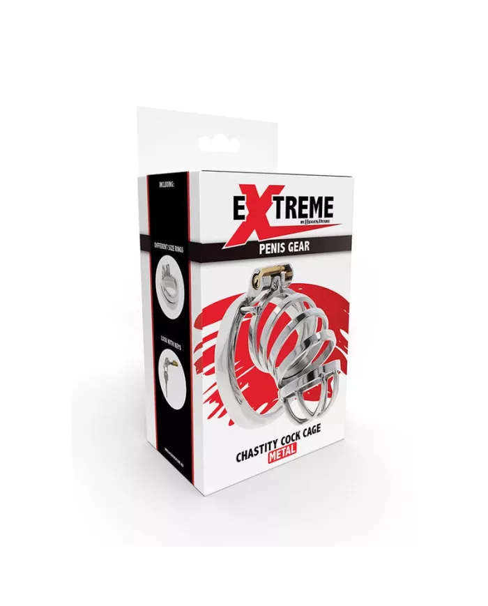 HIDDEN DESIRE - EXTREME CAGE DE CHASTETÉ EN MÉTAL