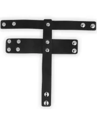 SANGLE EN CUIR DE CHASTETÉ OHMAMA FETISH SANGLE EN CUIR DE CHASTETÉ OHMAMA FETISH