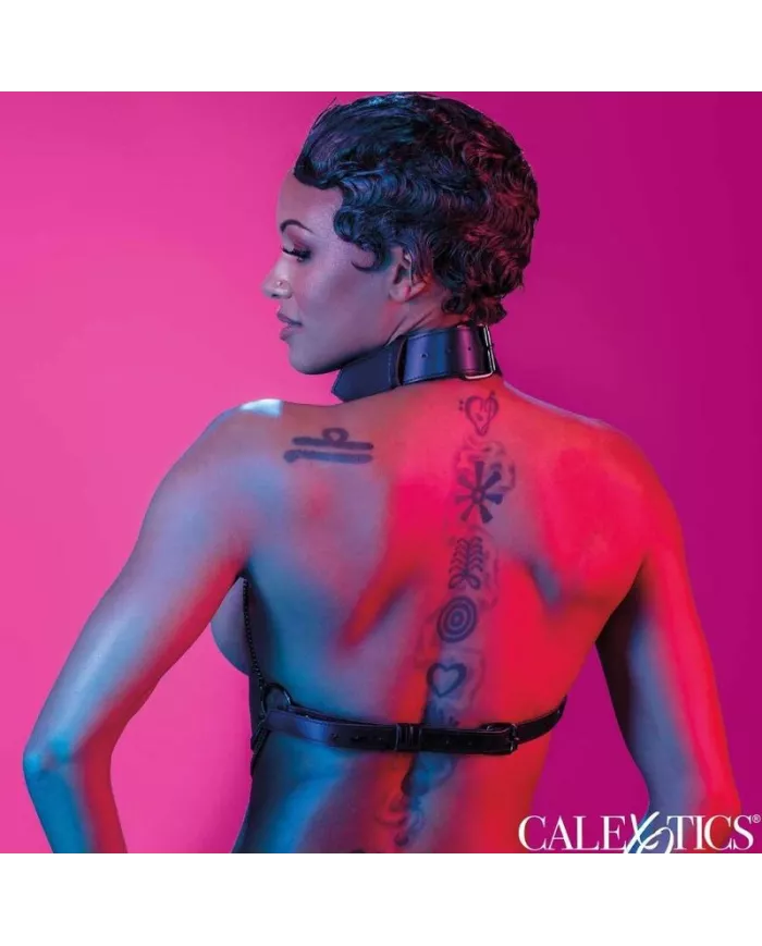 CALEXOTICS - EUPHORIA HARNAIS COLLIER MULTI CHAÎNES