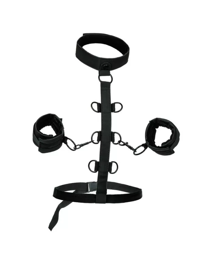 CALEXOTICS - BOUNDLESS COLLIER DE RETENUE CALEXOTICS - BOUNDLESS COLLIER DE RETENUE