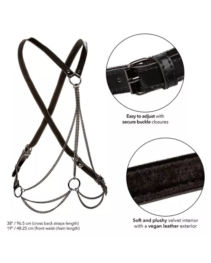 CALEXOTICS - EUPHORIA HARNAIS MULTICHAÎNE PREMIUM GRANDE TAILLE CALEXOTICS - EUPHORIA HARNAIS MULTICHAÎNE PREMIUM GRANDE TAILLE