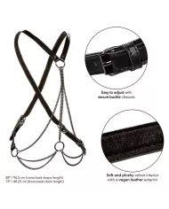 CALEXOTICS - EUPHORIA HARNAIS MULTICHAÎNE PREMIUM GRANDE TAILLE CALEXOTICS - EUPHORIA HARNAIS MULTICHAÎNE PREMIUM GRANDE TAILLE