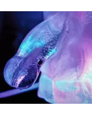 PLAY WIV ME - HUGE PENIS ICE LUGE MOULE PLAY WIV ME - HUGE PENIS ICE LUGE MOULE