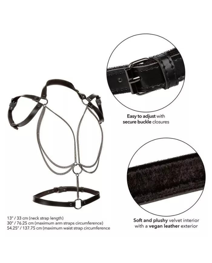 CALEXOTICS - EUPHORIA HARNAIS LICOL MULTICHAÎNES PREMIUM GRANDE TAILLE CALEXOTICS - EUPHORIA HARNAIS LICOL MULTICHAÎNES PREMIUM GRANDE TAILLE