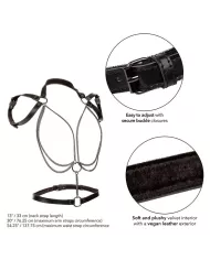 CALEXOTICS - EUPHORIA HARNAIS LICOL MULTICHAÎNES PREMIUM GRANDE TAILLE CALEXOTICS - EUPHORIA HARNAIS LICOL MULTICHAÎNES PREMIUM GRANDE TAILLE