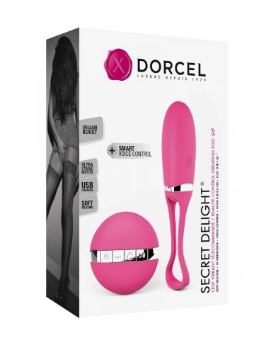 Oeuf vibrant télécommandé Secret Delight