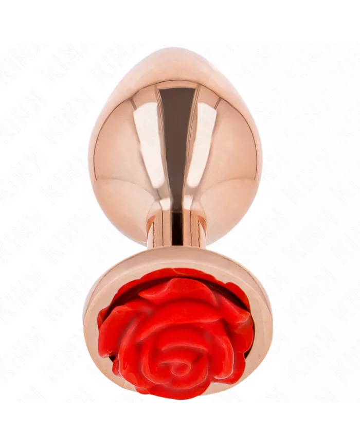 KINK - PLUG ANAL OR ROSE AVEC ROSE ROUGE M