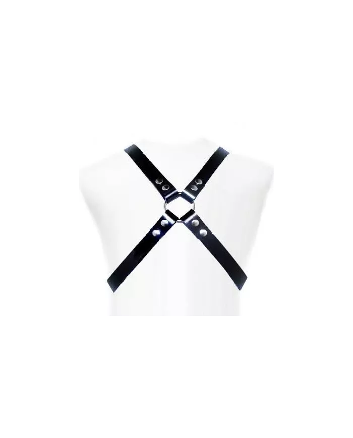 LEATHER BODY - HARNAIS DE BASE LEATHER BODY - HARNAIS DE BASE